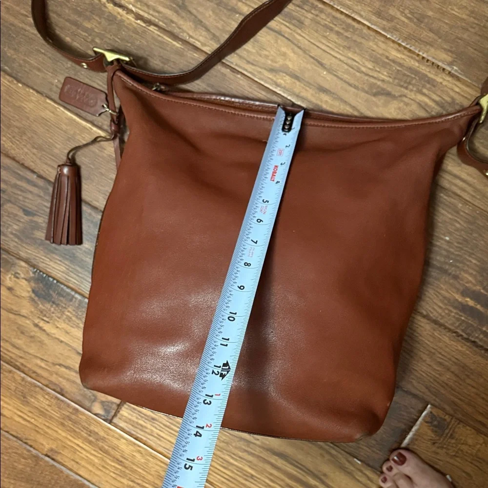 Coach luxurious hobo